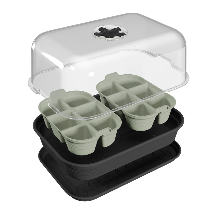 green basics plateau de semis 22cm vert pierre